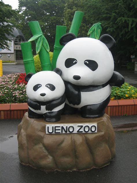 Giant Pandas At Ueno Zoo The Ueno Zoo Is A 143 Hectare Zoo Managed