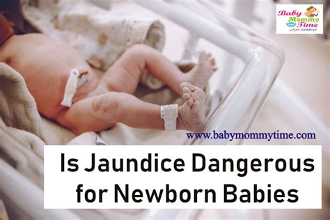 Is Jaundice Dangerous For Newborn Babies Babymommytime Top Blogs On