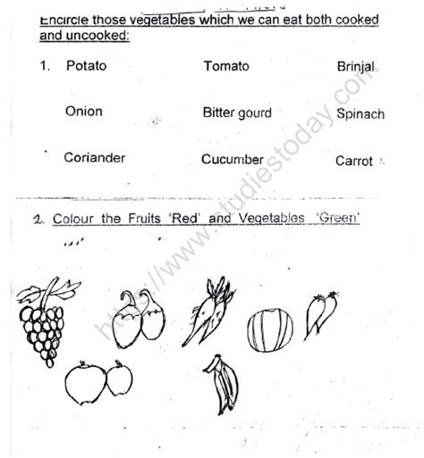 Cbse Class 1 Evs Our Food Worksheet Set D Practice Worksheet For