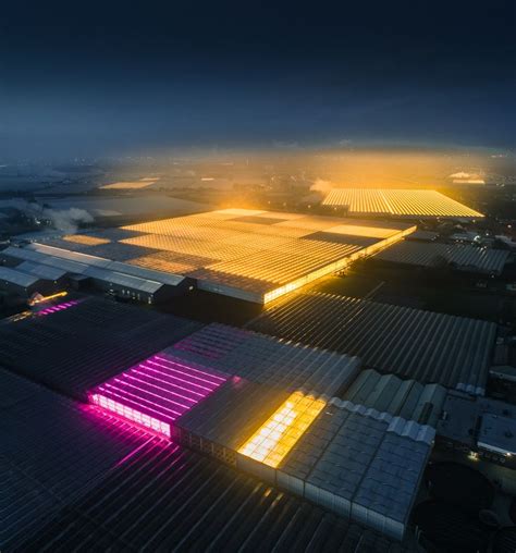 The Ever Present Glow Of Led Greenhouses Documented By Aerial
