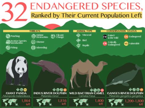 32 Endangered Species Ranked By Their Current Population Left