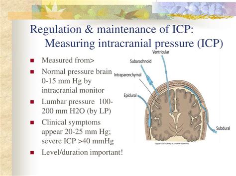 Ppt Neurosensory Altered Cerebral Function And Increased