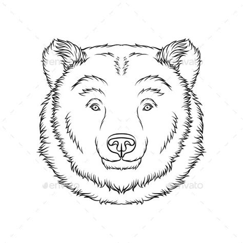 Sketch Of Bears Head Portrait Of Forest Animal Bear Face Drawing