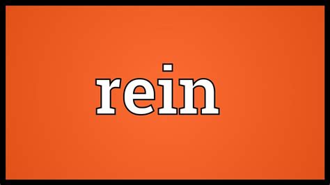 Rein Meaning Youtube