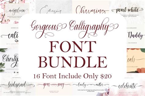 Gorgeous Calligraphy Font Bundle Limited Time 1007728