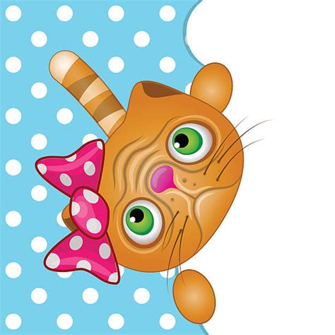 110 fat persian cat cartoon stock illustrations royalty free vector graphics and clip art istock