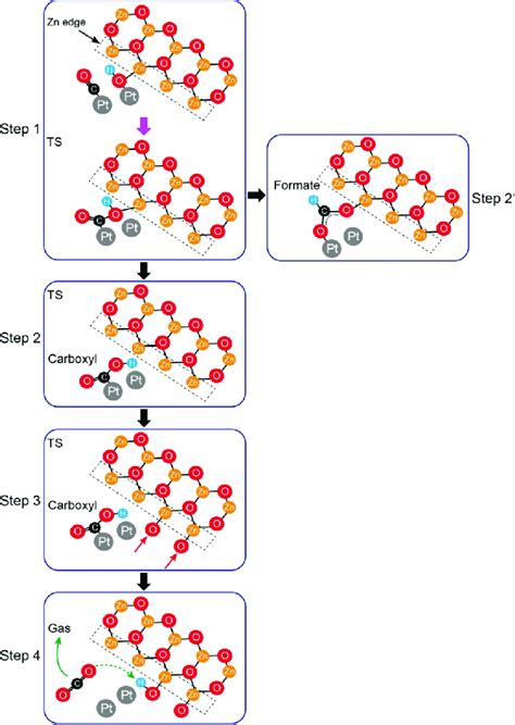 Scheme Of The Co Oxidation Reaction Mechanism Associative Reactions At