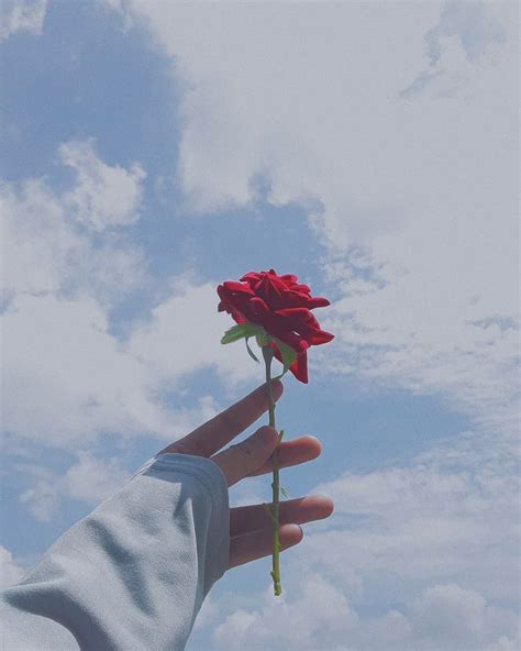 Gambar Tangan Memegang Setangkai Bunga Mawar 54 Koleksi Gambar