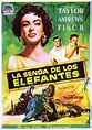 La Senda de los Elefantes [1954] | Carteles de películas famosas ...