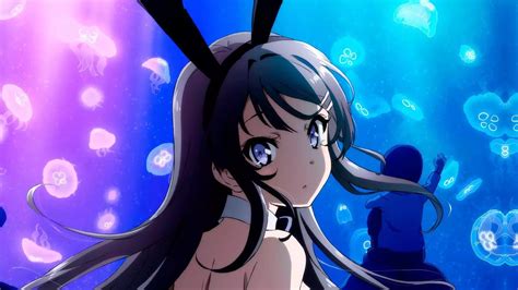 O Anime Seishun Buta Yarou Series Terá Uma Sequência Manual Do Otaku