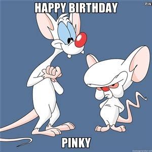 Two memes of pinky and the brain in the same format. Happy Birthday Pinky | Pinky And The Brain | Jeep memes ...
