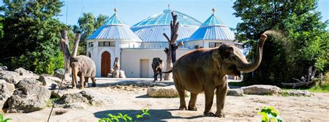 2.9 out of 5 stars 4 ratings. Munchen Zoo / Tierpark Hellabrunn Visiting The Zoo In ...