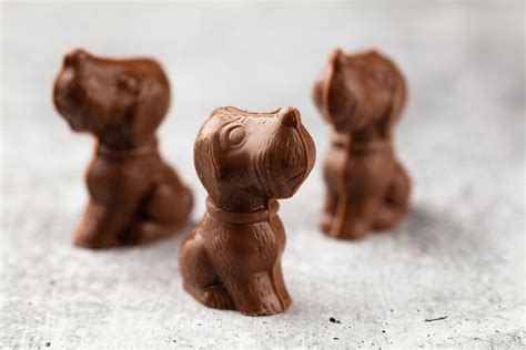 Milk Chocolate Dogs Teuscher Chocolates