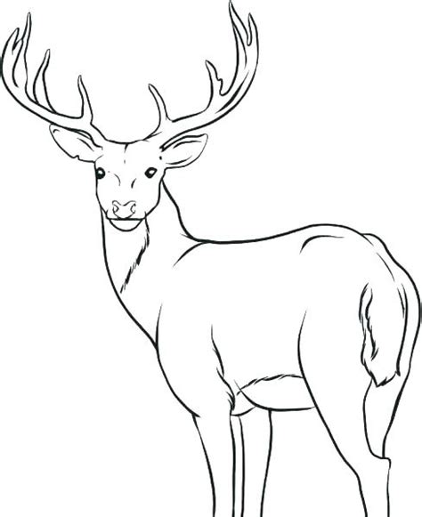 You can use our amazing online tool to color and edit the following free hunting coloring pages. Deer Face Coloring Pages at GetColorings.com | Free ...