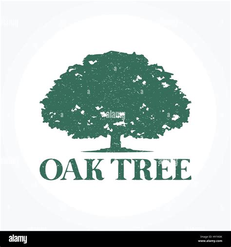 Oak Tree Illustration Hi Res Stock Photography And Images Alamy