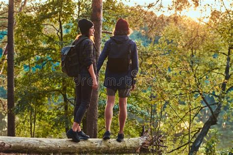 Young Hipster Couple Holding Hands Standing On A Tree Trunk In A