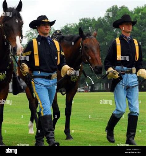 Horse Detachment Us 1st Cavalry Division Stock Photo Alamy
