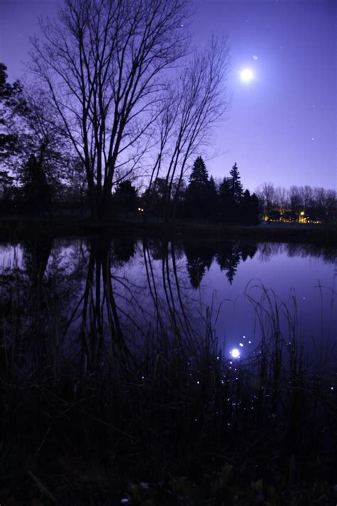 Night Time At The Pond Pond Tarot Card Spreads Cool Photos