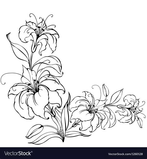 Lily Flower Royalty Free Vector Image Vectorstock