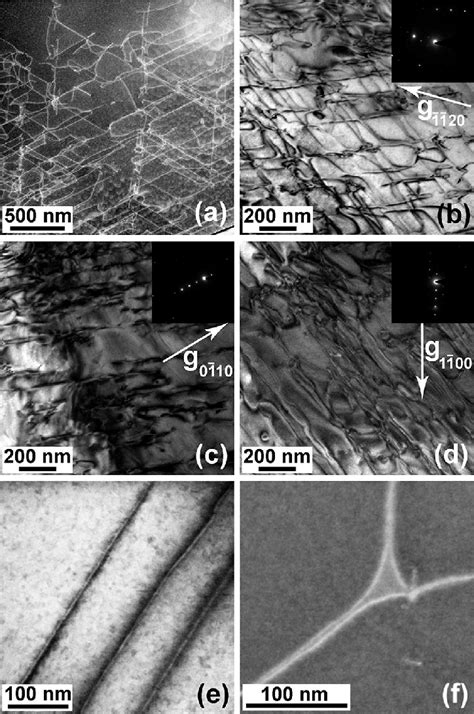 Stem And Tem Images Of A Network Of Screw Dislocations Introduced By