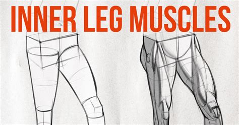 How To Draw Legs Realistically Drawn Male And Female Legs