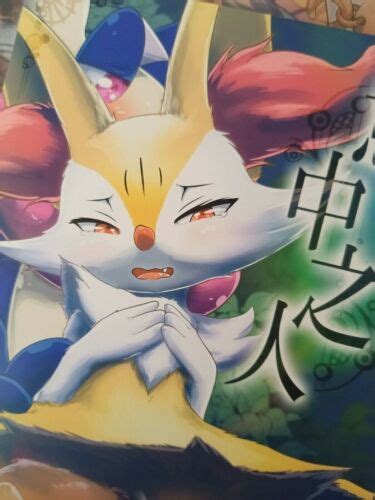 Doujinshi Kemono Pokemon Kawazoko B5 40 Pages Braixen X Greninja