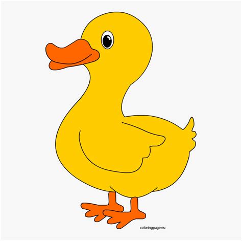 Duckling Clipart