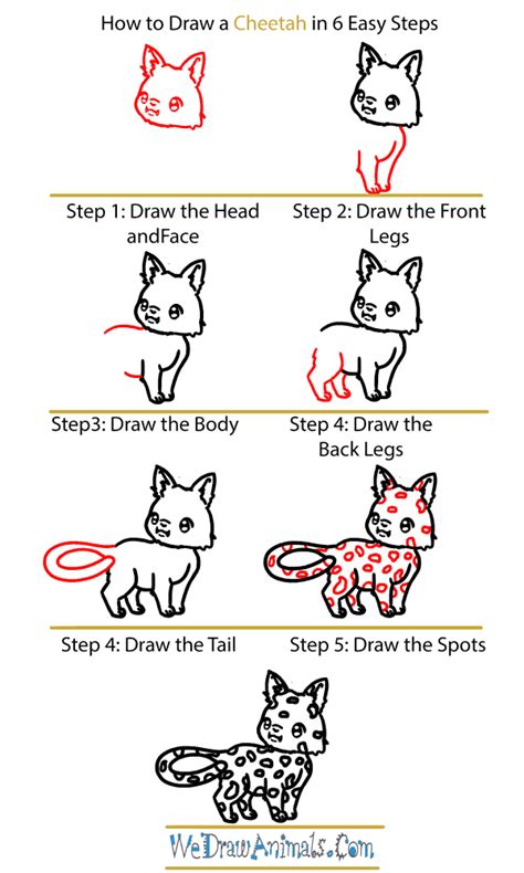 How To Draw A Baby Cheetah