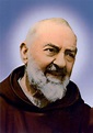 St. Padre Pio of Pietrelcina, Priest, Stigmatic, Mystic, and the ...