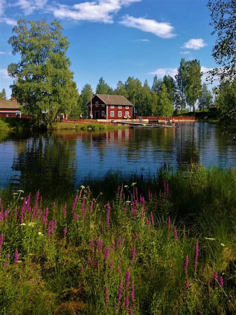 Swedish Summer Is Great Photo By Gerhard Petterson In 2021 Sweden