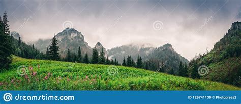 Beautiful Landscape In High Mountains With Green Meadow Right Under The