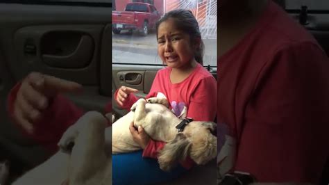 Vídeo De Niña Llorando Porque Su Perro Quedó Como Un Puerco Pelonchas