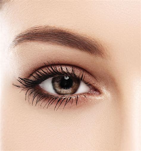 Free Eyebrow Wax | Spa Lux
