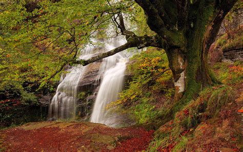 Path In Autumn Forest And Waterfall Wallpaper For