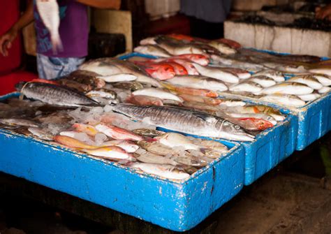 The 10 Best Jimbaran Fish Market Pasar Ikan Tradisional Kedonganan