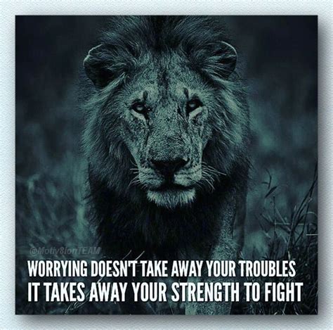 Strength Quote With Lion Lion Quotes Inspiring Quotes