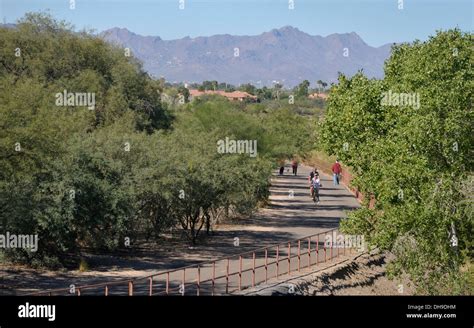 Outdoor Enthusiasts Traverse The Loop At The Rillito River Park West Of