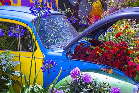 Colorful Vw Bug Photograph By Garry Gay Fine Art America
