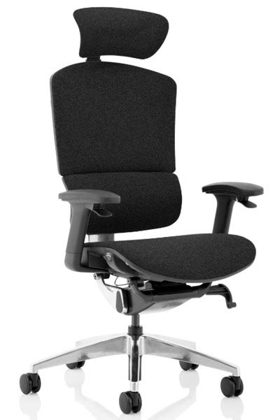 The ergonomic design ,ergo office chair. Fabric High Back Executive Office Chair With Headrest ...
