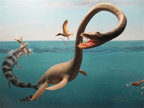 Prehistoric Sea Animals Creature