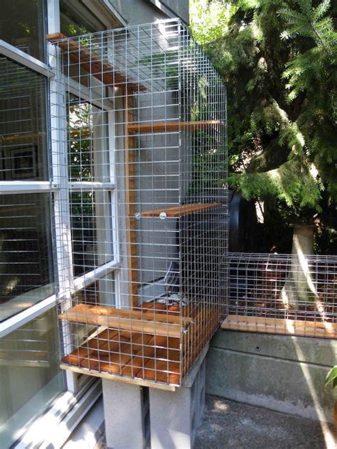 20 Outdoor Cat Enclosure Attached To House