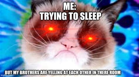 Image Tagged In Grumpy Cattrying To Sleepmeme Imgflip