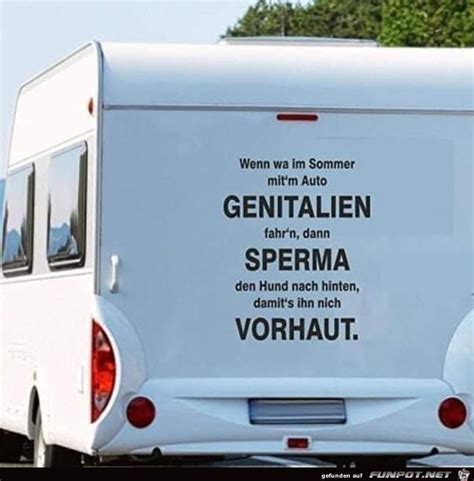 Frederick versucht piggeldy zu erklären, was faulheit bedeutet. Piggeldy Und Frederick Sprüche : Glueck Im Quadrat Zitate ...