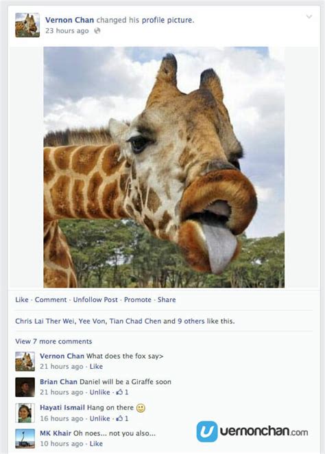Uncovering The Mystery Behind The Facebook Giraffe Riddle