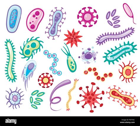 Bacteria And Viruses Colorful Microorganisms Collections Flat Vector