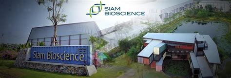 Siam Bioscience Co Ltd Jobs And Careers Reviews