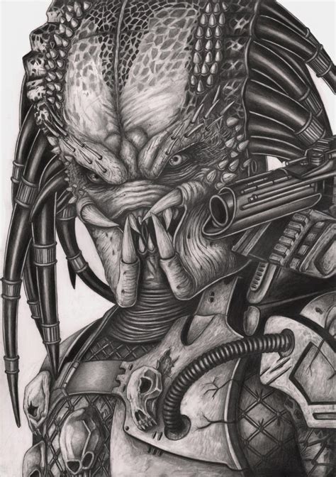 Predator Graphite Drawing By Pen Tacular Artist On Deviantart