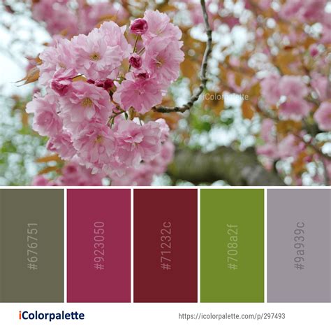 Color Palette Ideas From 1804 Blossom Images Icolorpalette Nature