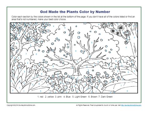 God Made The Plants Color By Number Childrens Bible Activities