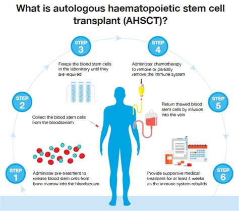 Stem Cell Treatment In The News Ms International Federation